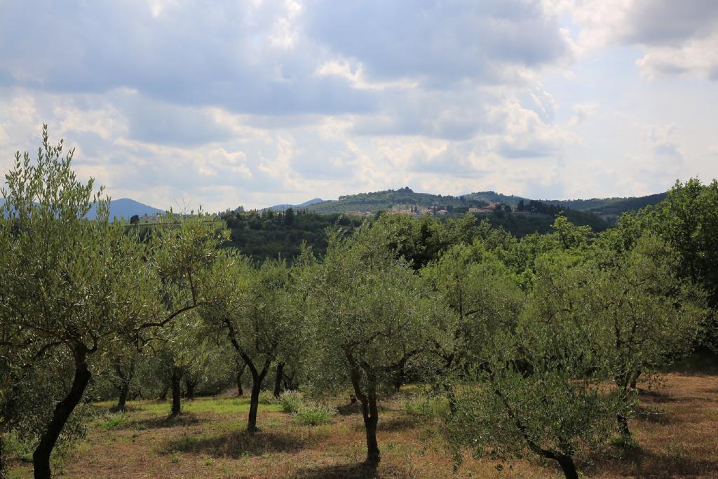 Villa Francesca Rignano sullʼArno エクステリア 写真