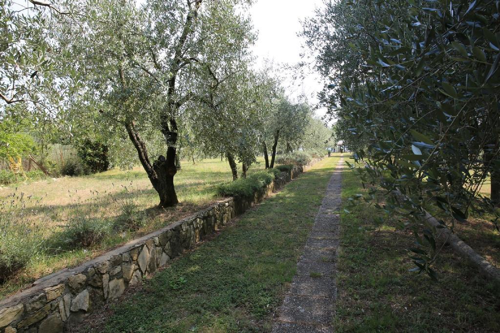 Villa Francesca Rignano sullʼArno エクステリア 写真