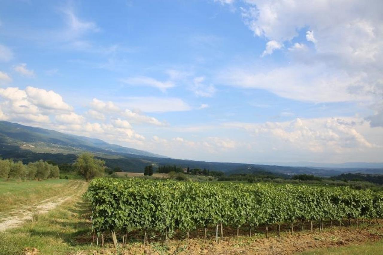 Villa Francesca Rignano sullʼArno エクステリア 写真