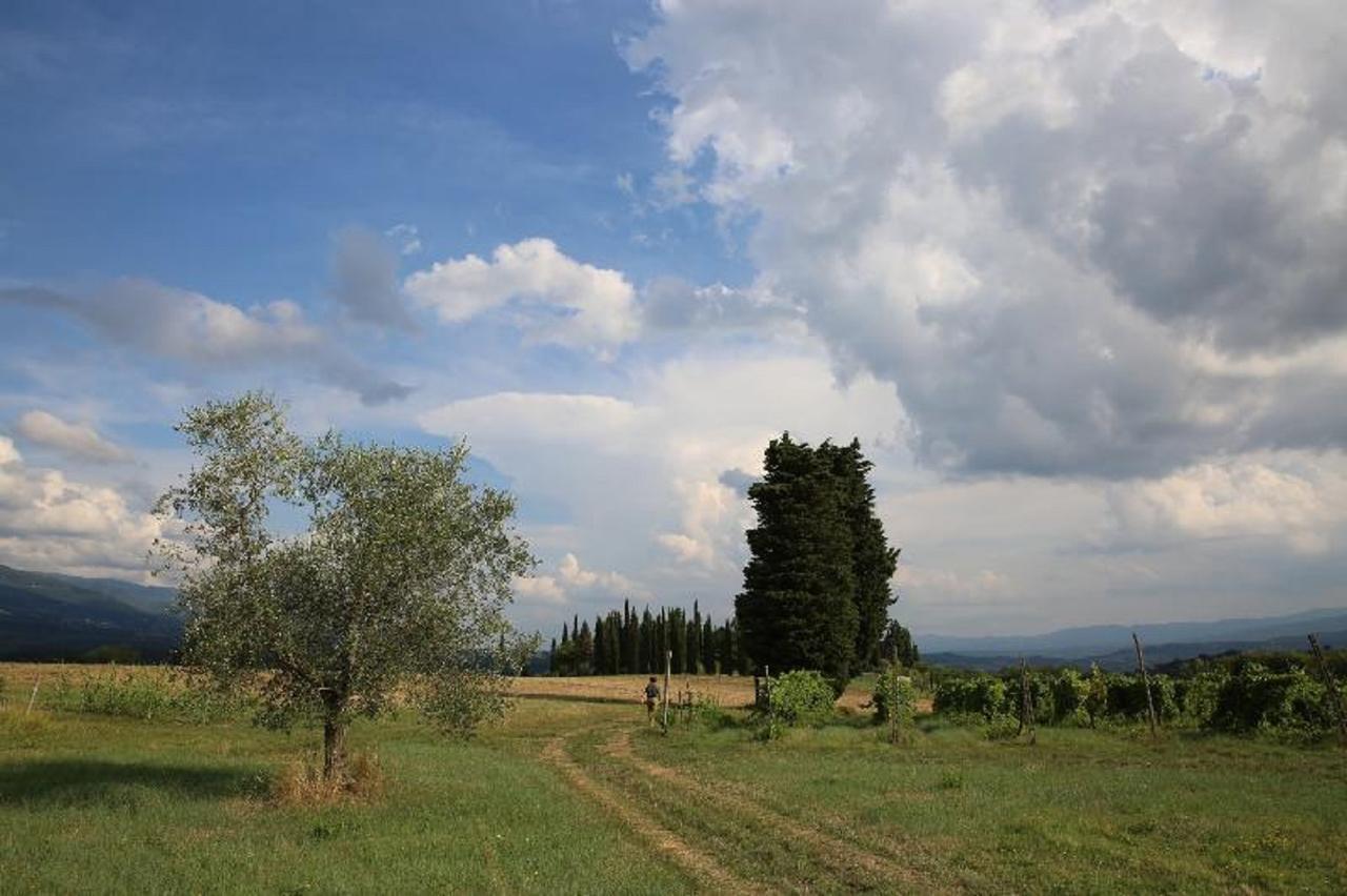 Villa Francesca Rignano sullʼArno エクステリア 写真