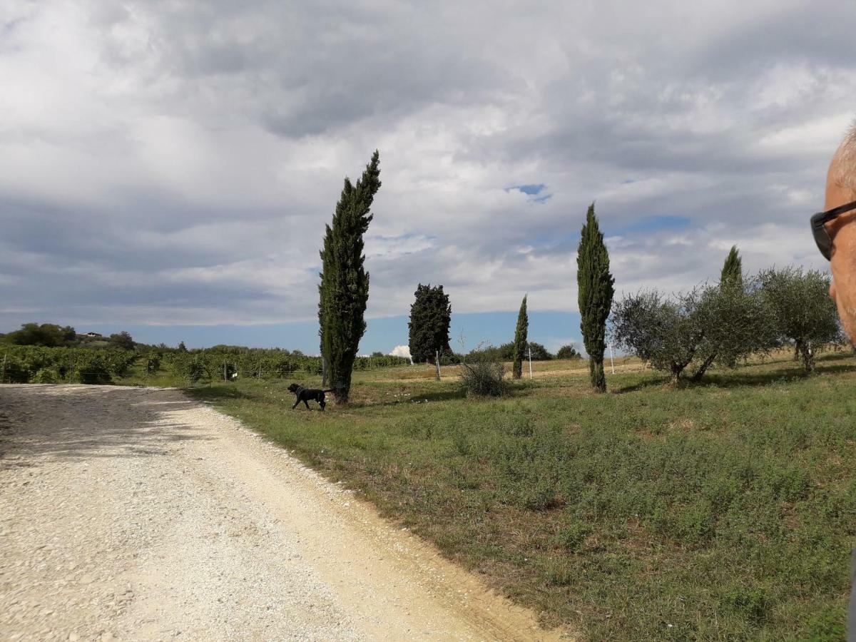 Villa Francesca Rignano sullʼArno エクステリア 写真